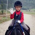 不去香港也可以看赛马