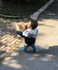 龙湖紫都城幼儿园怎么样?求推荐龙山街道附近幼儿园