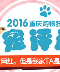 2016萌宠评选,成为wanghong的机会来了