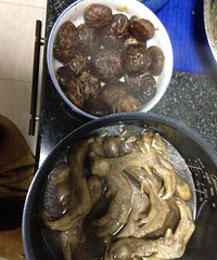 定南山-实用美式朴实无华【PPG大师漆杯装修日记】我在工地健身
