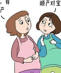 顺?剖?听专家怎么说