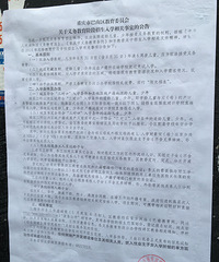 巴南区小学招生最新政策公布了
