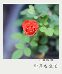 【秀阳台】春夏秋冬序曲