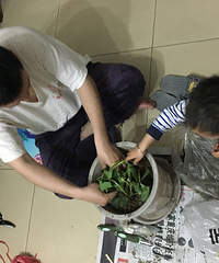 【4月跟团晒】+草莓苗半存活状态,后续将持续更新