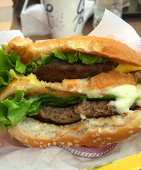 ��4��ɹ��ʳӮ������+ѿׯ��ʳС����~~