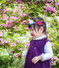 雨过天晴赏花去