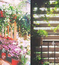 我的梦幻花草秘密花园