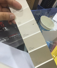 北欧日式# 自己设计的 灯具&洁具 【PPG大师漆杯装修日记】