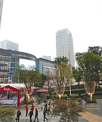 看房子之路,峰回路转-大坪求推荐