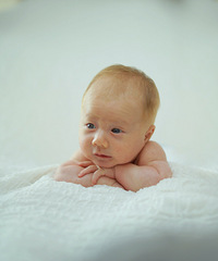 ����һ�����������գ��ı��ڻ���