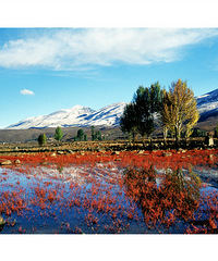 ңԶļ䣬ոµĻ䣬Ƕʹ֮á