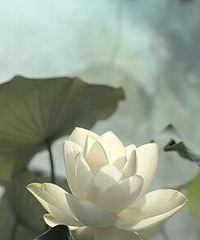 ���İһ�������õ���ʽ