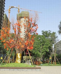 走过许多路,看过3个区的房,详细来说说