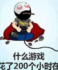 什么游戏让你花了200个小时在上面?
