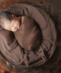 ��������+����9���գ�