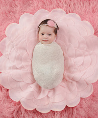 ɹ���õ����¡���������