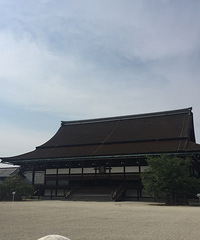 春末夏初の约定 霓虹关西游记(干货+美食+购物)