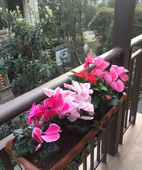 我心心念的HOUZZE风格大厨房现代美式家【2016-2秀家大赛】