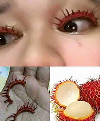 哈哈哈,好棒的假睫毛
