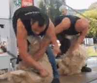 理发店的师傅总是不知道什么是稍微修修……