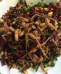 无辣不欢特色自贡菜,辣得跳脚却又停不下来【F管探店】