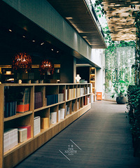 一个人在深圳的文艺小店之旅