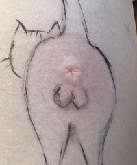 被蚊子咬后突发脑洞画了只猫,以后再也不敢直视蚊子包了