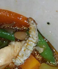 重庆某高校一同学在食堂吃到一大条高蛋白,呕......