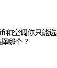 假如WIFI和空调你只能选择一样,你会选择哪个?