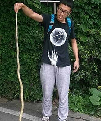 论重庆高校的养蛇基地,川外歌乐山校区应该位列前沿吧!!