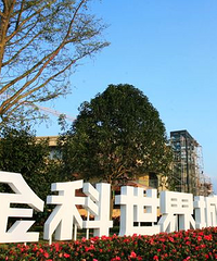 在茶园看二手的学区洋房,要带大露台或花园的,同景和金科哪个好