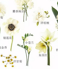 �����еĻ��񻨲�����Щ����Ļ��������û��Ͷ��ˣ�