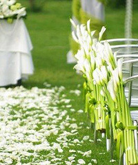 �����еĻ��񻨲�����Щ����Ļ��������û��Ͷ��ˣ�