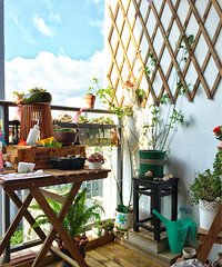 ������������̨������