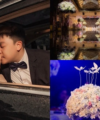 我的唯美韩式婚礼,蝴蝶花开好浪漫