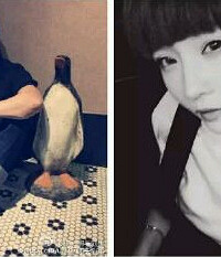 ������ǰ���������ǰ�����ɹ�����Ȧ���Ұ�