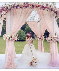 My Pinky & White Wedding【芭菲婚宴2016第3届新娘日记】
