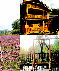 200多住南川湖景木屋,摘蓝莓好好耍