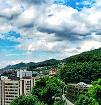 ɹ����������ͼ����������Ӵ  ����