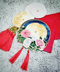 ɹɹ���ղصĺÿ�����