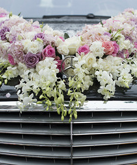 СƵѸ¡ŷƻ20163ռǡ