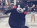 熊本熊跳舞好攒劲