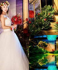 把森林搬到酒店里的梦幻森系婚礼