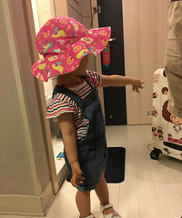 鸟蛋蛋的第一次旅游——香港迪斯尼,珠海长隆
