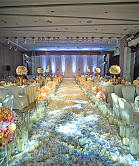 ҹܳİ飬δ㣡ŷƻ20163ռǡ