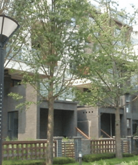 大竹林金科·天元道的上叠墅,价格200万左右值得下叉么
