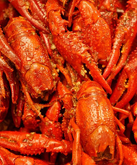 ���С��Ϻ���� ���óԿ��Ժ���ȥ��æ��