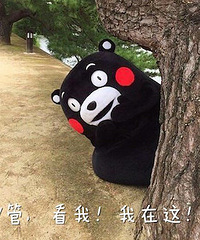 熊本表情包大赛,赢正版kumamon玩偶