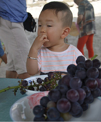 �����ʹ���Ȼ��Լ��