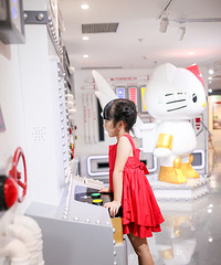 FUN��ľ������ſ�KITTY������